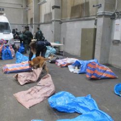 Karlovarští celníci zajistili drogy v poštovních zásilkách i při kontrolách na silnicích