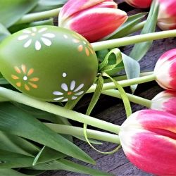 Karlovy Vary: Farmářské trhy tentokrát s příchutí Velikonoc a vůní květin