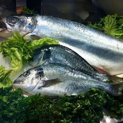 Karlovy Vary: Farmářské trhy zpestří Ryba na talíři