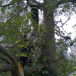 Karlovy Vary: Hasiči zachraňovali chlapce a jeho dron