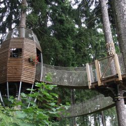 Karlovy Vary: Lázeňské lesy otevírají stromové domky na Linhartu