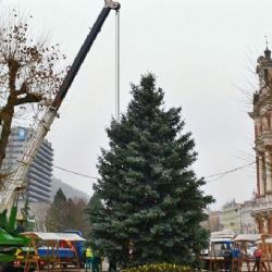 Karlovy Vary: Město hledá strom na vánoční trhy