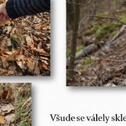 Karlovy Vary: Město se připojí ke kampani Den Země úklidem veřejných prostranství