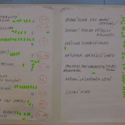 Karlovy Vary: Město vybralo témata pro anketu