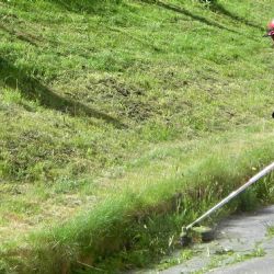 Karlovy Vary: Městské trávníky dostanou pestřejší údržbu