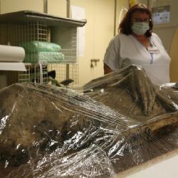 Karlovy Vary: Mumie mají CT vyšetření již za sebou