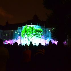Karlovy Vary: Nejlepším studentským videomappingem se stal Mystical Forest