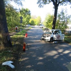Karlovy Vary: Nevěnoval se řízení, narazil do stromu