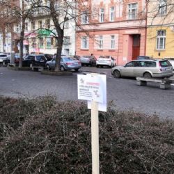 Karlovy Vary: Pejskaři pozor! Ve městě probíhá deratizace potkanů