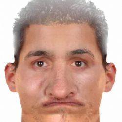 Karlovy Vary: Policie pátrá po muži z identikitu. Okradl cizince