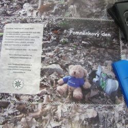 Karlovy Vary: Policie připomínala Pomněnkový den