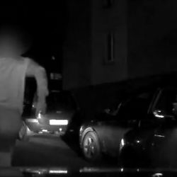 Karlovy Vary: Policisté dopadli muže v celostátním pátrání