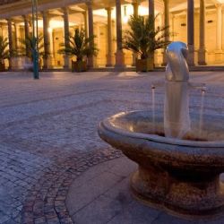 Karlovy Vary: Pramen knížete Václava II je dočasně nedostupný