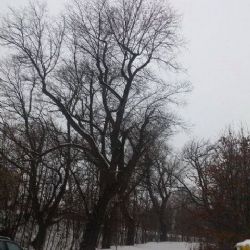 Karlovy Vary: Příprava výstavby parkoviště v rámci vybudování cyklistické stezky Nejdecká