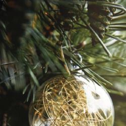 Karlovy Vary: Rozsviťte si Vánoce ozdobou pro Světlušku