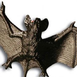 Karlovy Vary: Strážníky zaměstnali netopýři