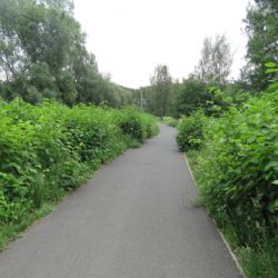 Karlovy Vary: Střet dvou cyklistů. Policie hledá svědky