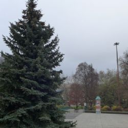 Karlovy Vary: Symbol Vánoc už je na místě