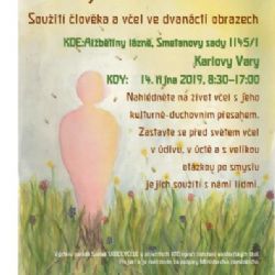 Karlovy Vary: V Alžbětiných lázních se uskuteční výstava Tajemství včel