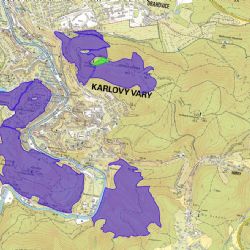 Karlovy Vary: V lázeňských lesích vznikne zvláště chráněné území