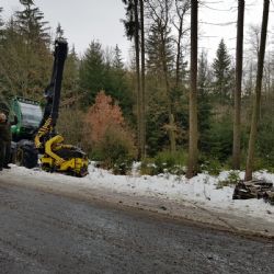 Karlovy Vary: V lázeňských lesích začal pracovat harvestor