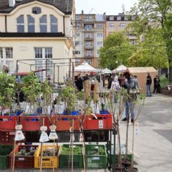 Karlovy Vary: V pátek se konají farmářské trhy