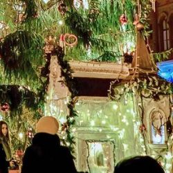 Karlovy Vary: Ve čtvrtek bude mít město svůj vánoční strom