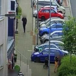 Karlovy Vary: Ženu udeřil pěstí a povalil do křoví