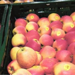 Karlovy Vary: Zítra se opět ve městě konají farmářské trhy