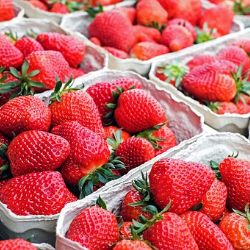 Karlovy Vary: Zítřejší farmářské trhy nabídnou čerstvou sklizeň jahod