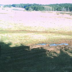 Kladruby: Poškodil fotopast