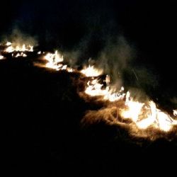 Kojšovice: Hasiči likvidovali požár travního porostu