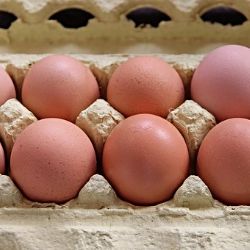 Kontroly SVS se soustřeďují na nezávadnost a správné značení vajec