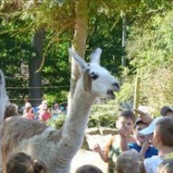 Kraj i letos nabídne školám v regionu oblíbené exkurze do ekofarem 