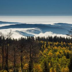 Kraj poskytne dotaci na základní vyznačení Krušnohorské Hřebenovky