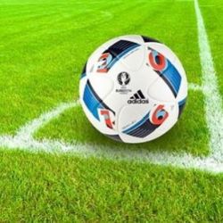 Kraj pošle sportovním oddílům peníze na údržbu a obnovu hřišť