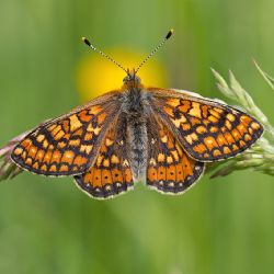 Kraj se může pochlubit další přírodní památkou