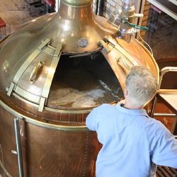 Krajské střední školy se chystají otevřít některé nové obory