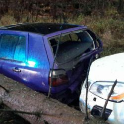 Kraslice: Dvě vozidla dnes ráno narazila do padlého stromu přes silnici