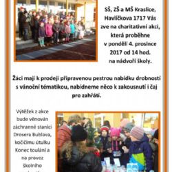 Kraslice: Ve městě se bude konat Vánoční jarmark