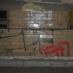 Kraslice: Opakovaně posprejoval cizí majetek