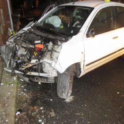 Kraslice: Snažila se vyhnout zvířeti, poničila dva domy