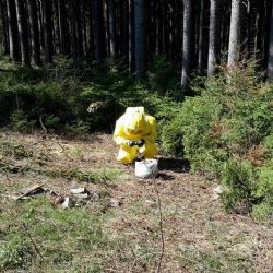 Kraslice: V lese byla nalezena nebezpečná neznámá látka