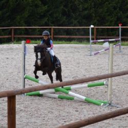 Krásná: Jezdecký klub uspořádal závody Vítání prázdnin v sedle