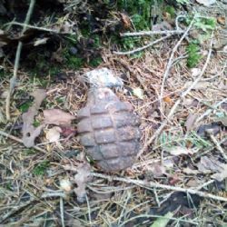 Krásná: Nález dvou granátů