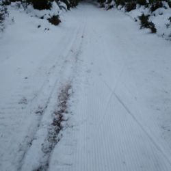 Krušnohoří: I přes oteplení jsou běžkařské trasy stále sjízdné