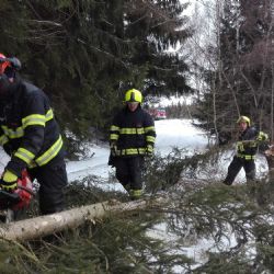 Krušnohoří: Těžký sníh láme a vyvrací stromy. Situace trvá už týden