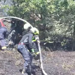 Kvůli suchému počasí stále hrozí požáry lesních porostů