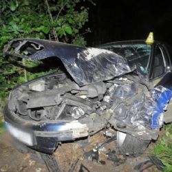 Kynšperk nad Ohří: Narazil s vozidlem do stromu