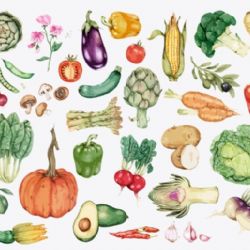 Kynšperk nad Ohří: Příští neděli si můžete (za)Veggetit